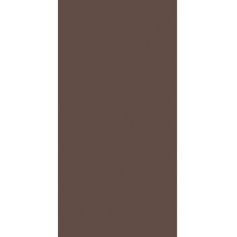 Керамогранит RW04, коричневый, неполированный, 80x160x1,1 см