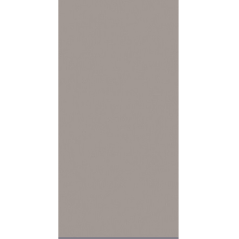 Керамогранит RW03 80x160x1,1 см светло-серый неполированный