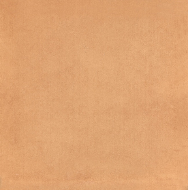Плитка облицовочная Капри 5238 N 20x20x0,69 см оранжевый